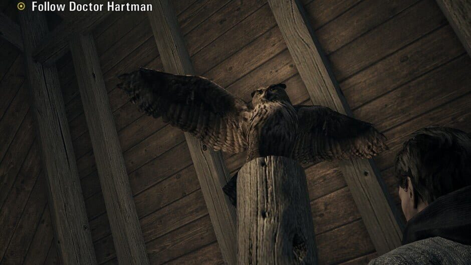 Alan Wake screenshot 7