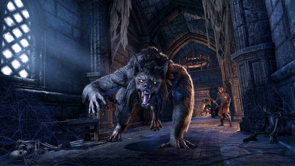 The Elder Scrolls Online screenshot 12