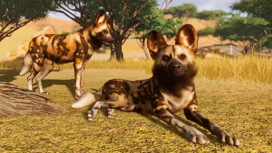 Planet Zoo screenshot 5