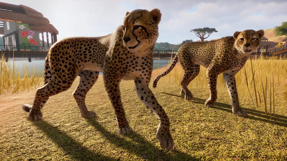 Planet Zoo screenshot 7