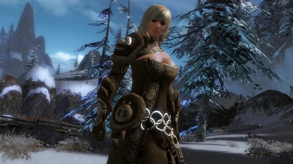 Guild Wars 2 screenshot 1