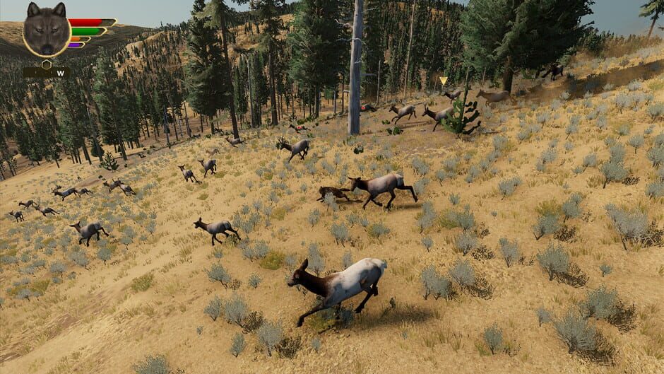 WolfQuest: Anniversary Edition screenshot 1