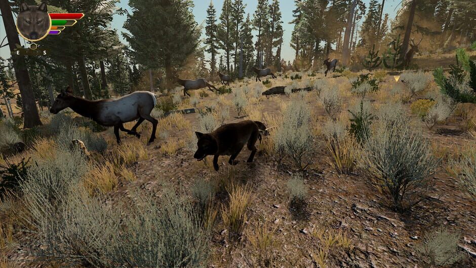 WolfQuest: Anniversary Edition screenshot 2