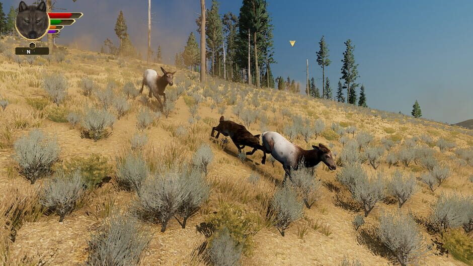 WolfQuest: Anniversary Edition screenshot 3
