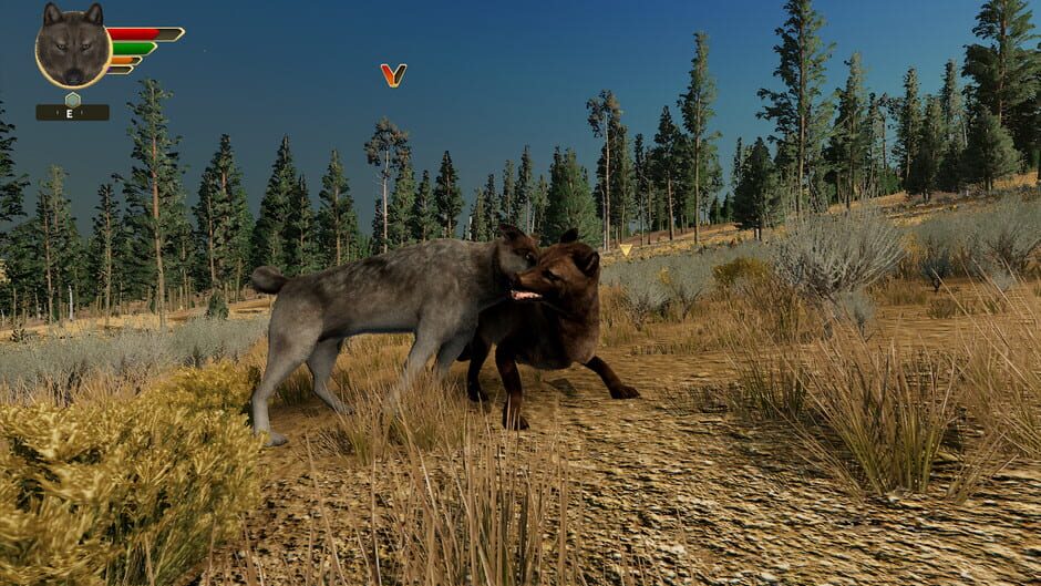 WolfQuest: Anniversary Edition screenshot 7