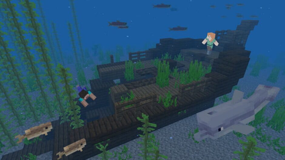 Minecraft screenshot 9