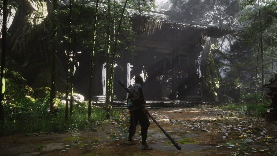 Black Myth: Wukong screenshot 6