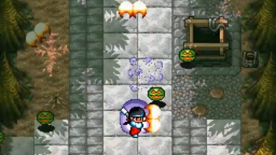 Pocky & Rocky screenshot 2