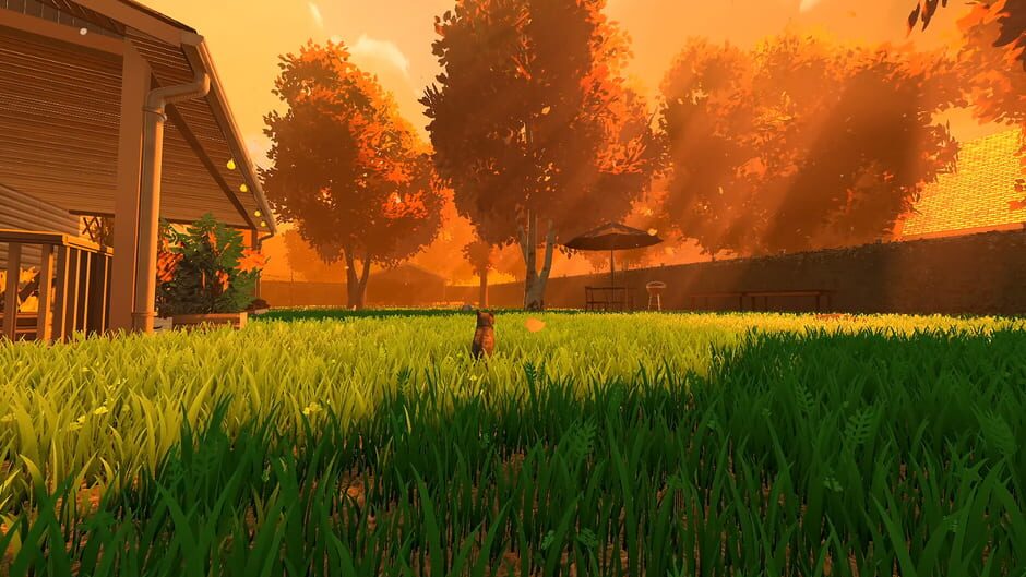 Copycat screenshot 1