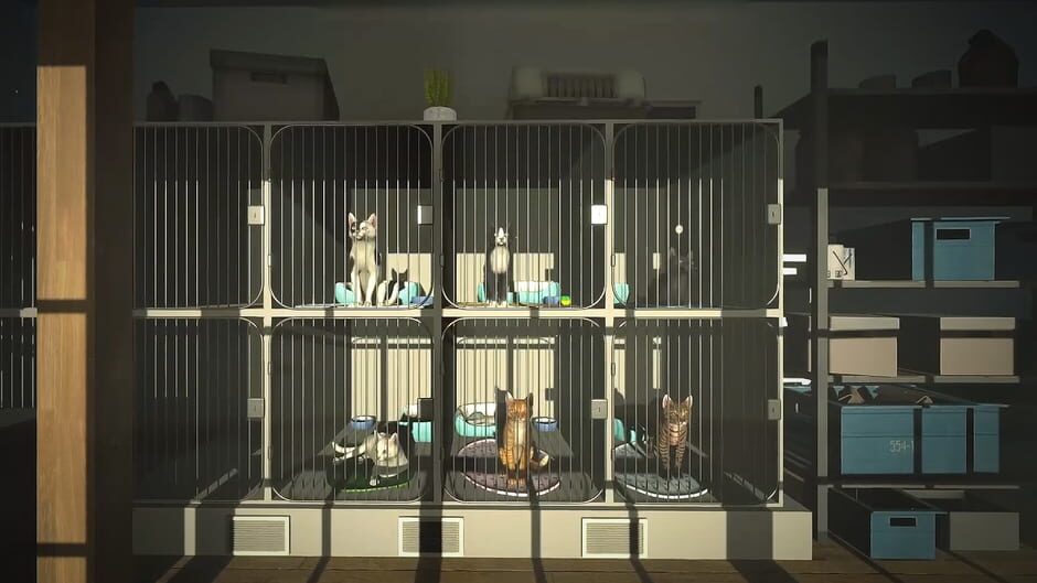 Copycat screenshot 4