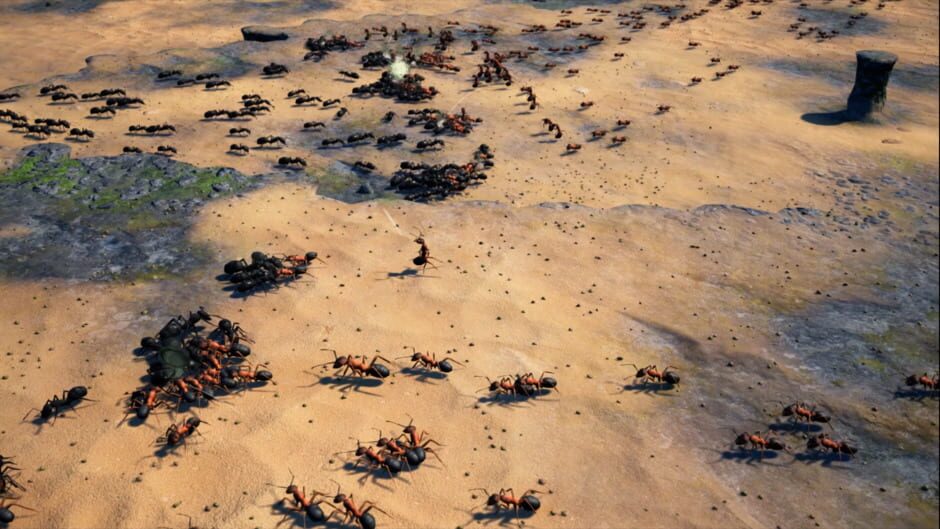 Empires of the Undergrowth screenshot 2