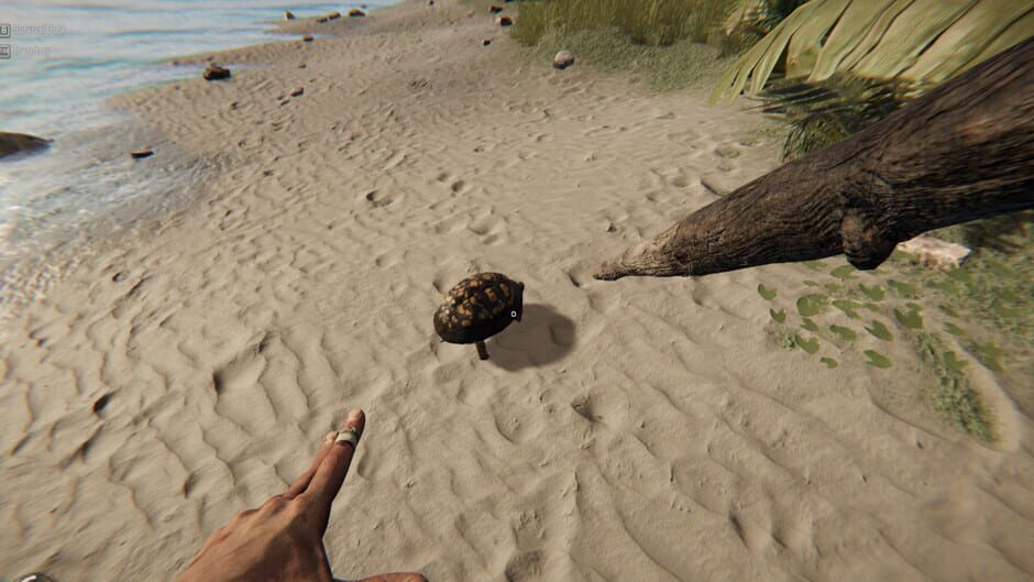 Project Castaway screenshot 5