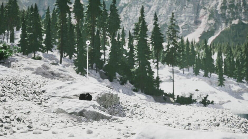 Lushfoil Photography Sim screenshot 12