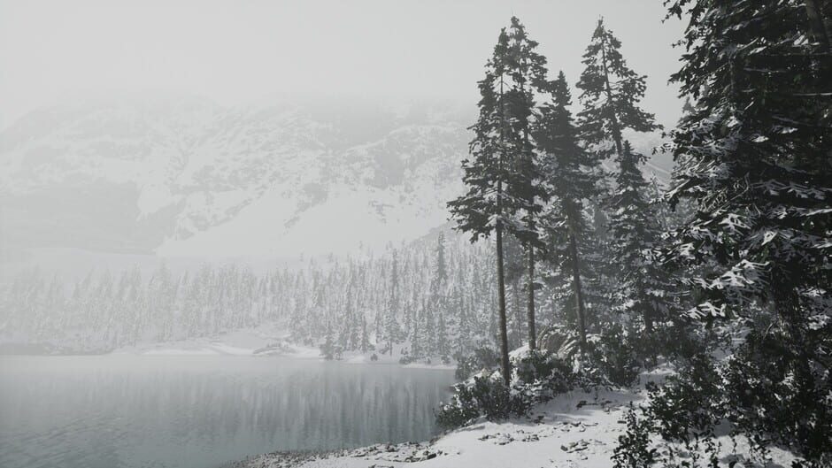 Lushfoil Photography Sim screenshot 9