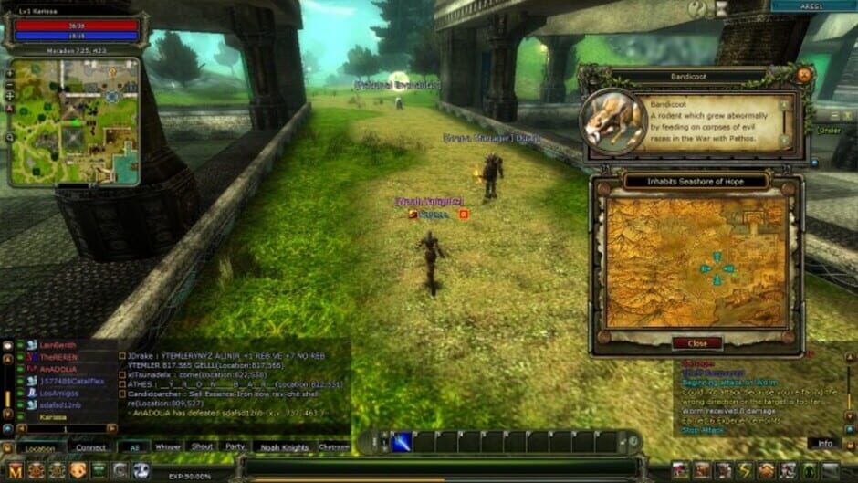 Knight Online screenshot 1