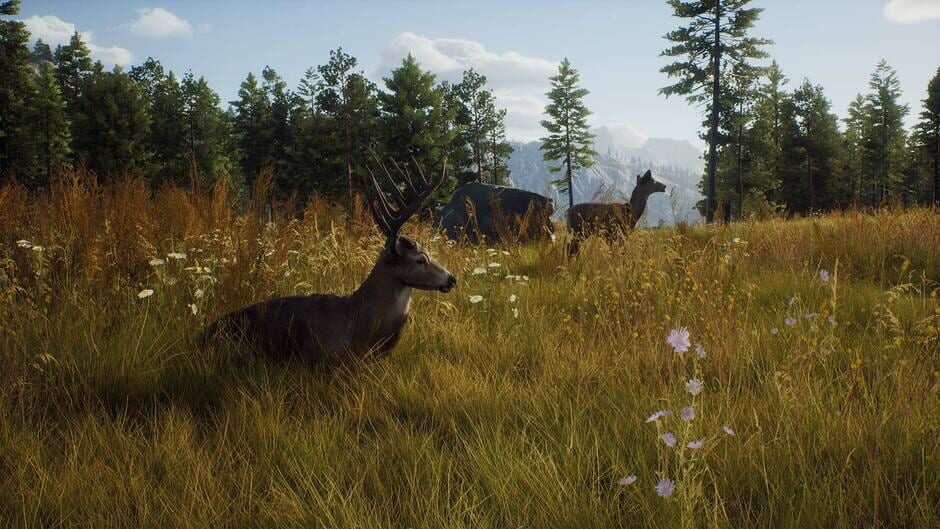 Way of the Hunter screenshot 10
