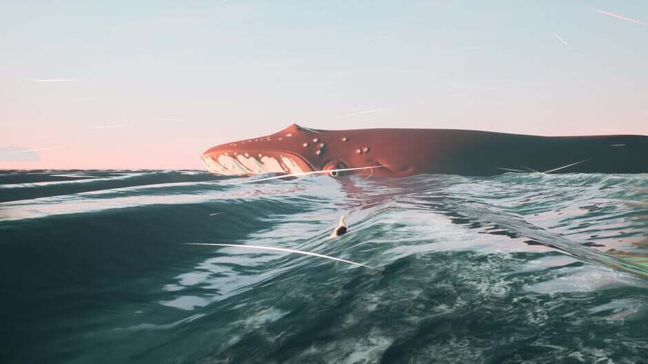 Toroa: Skycall screenshot 4