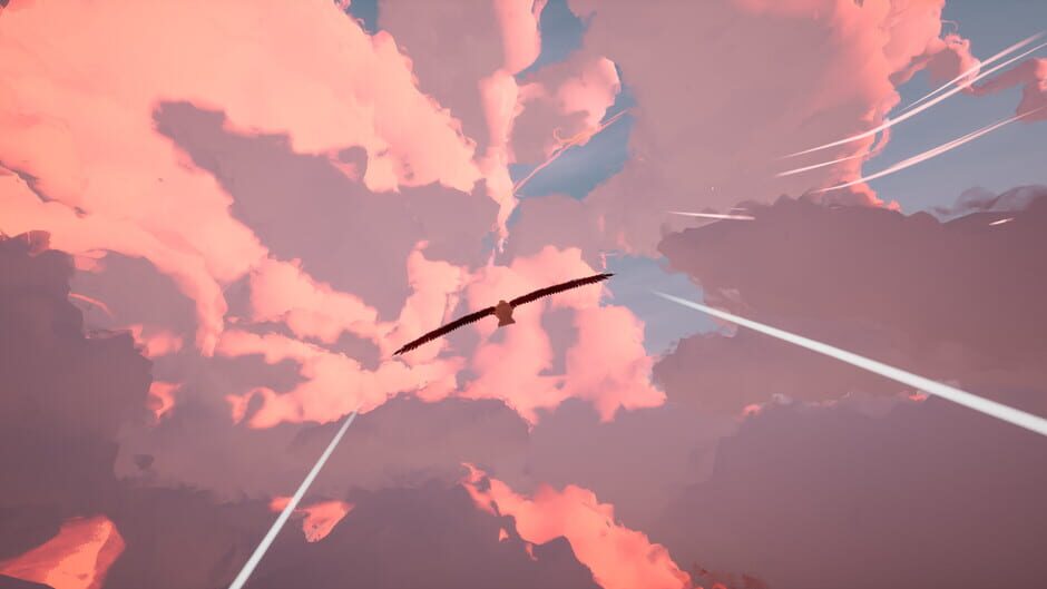 Toroa: Skycall screenshot 5