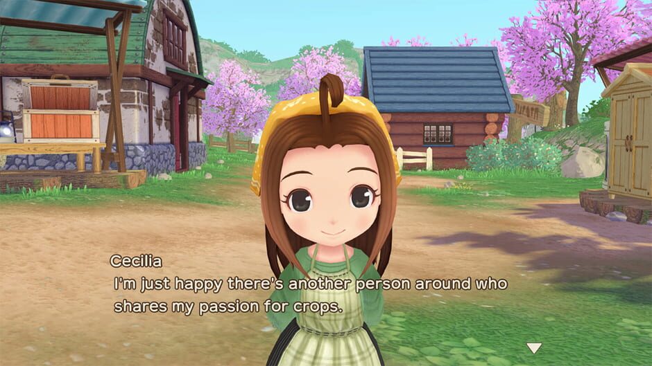 Story of Seasons: A Wonderful Life screenshot 3