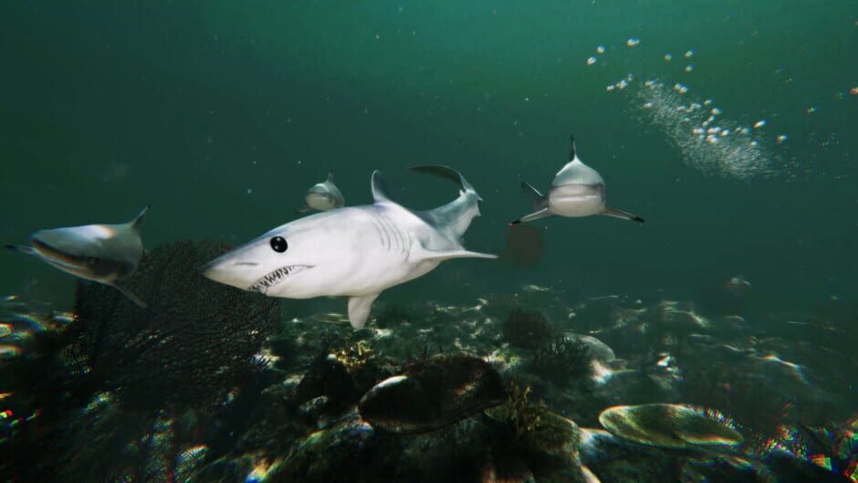 Death in the Water 2 screenshot 6