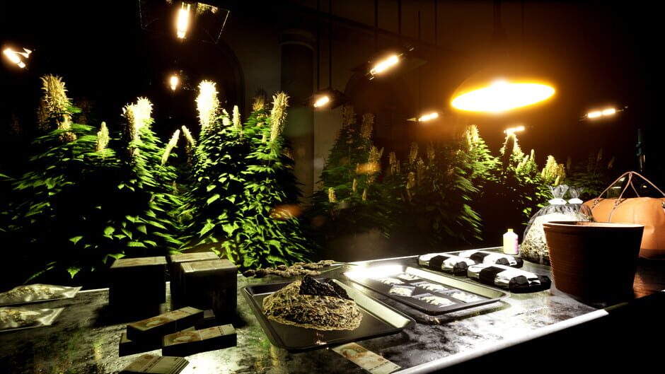 Drug Dealer Simulator 2 screenshot 2