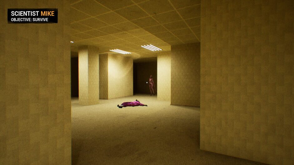 BACKROOMS: APPREHENSION screenshot 5