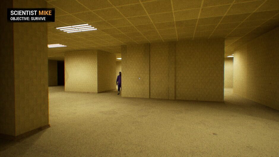 BACKROOMS: APPREHENSION screenshot 6