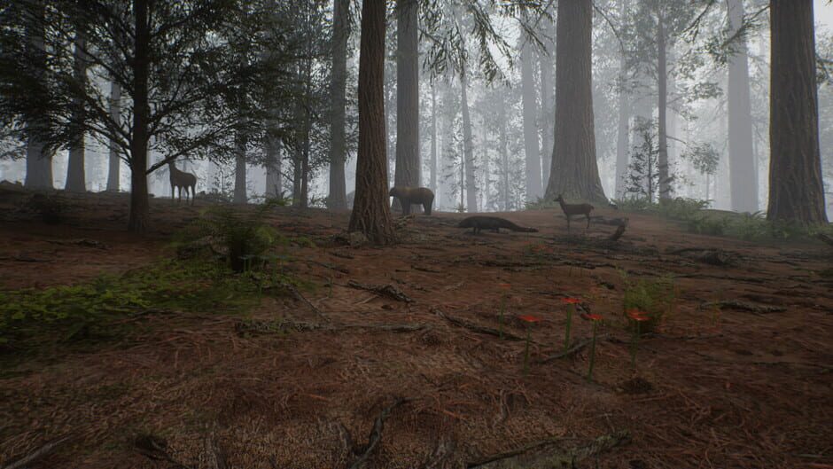 Native Hunter screenshot 2