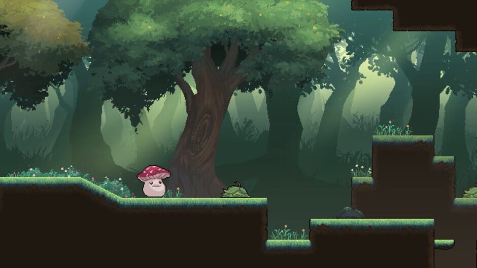 TEVI screenshot 1