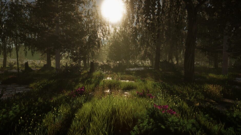 The Quinfall screenshot 13