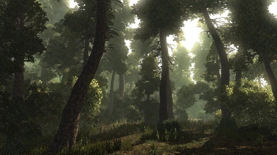 Risen screenshot 2