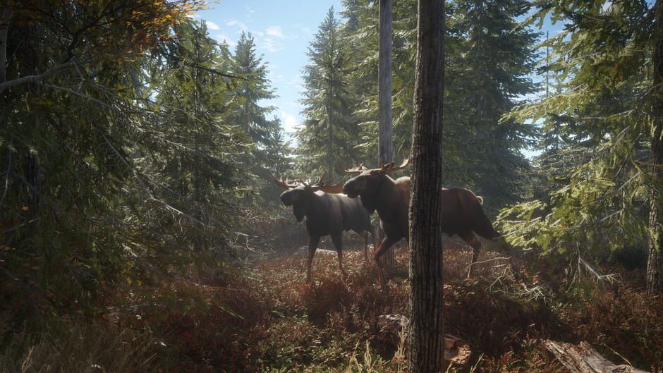 TheHunter: Call of the Wild screenshot 9
