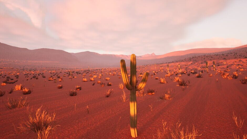 Cactus Simulator 2 screenshot 5