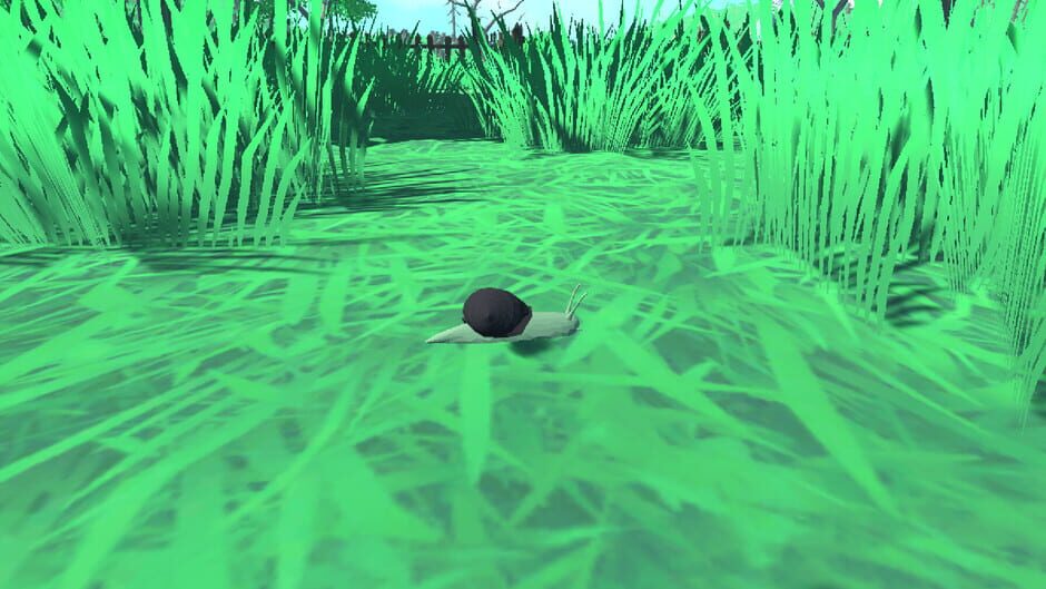 Snail Simulator screenshot 6