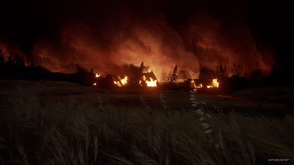 The Last Of Us Part II Remastered screenshot 12