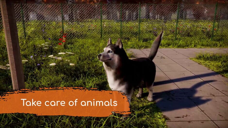 Animal Shelter 2 screenshot 1