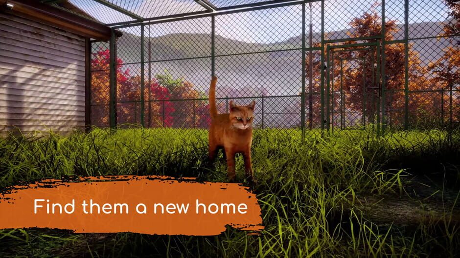 Animal Shelter 2 screenshot 13