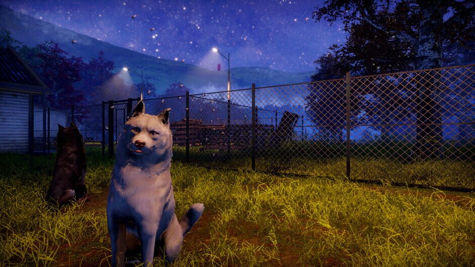 Animal Shelter 2 screenshot 18