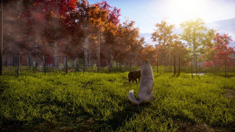 Animal Shelter 2 screenshot 26