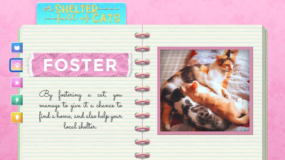 A Shelter Full of Cats screenshot 7