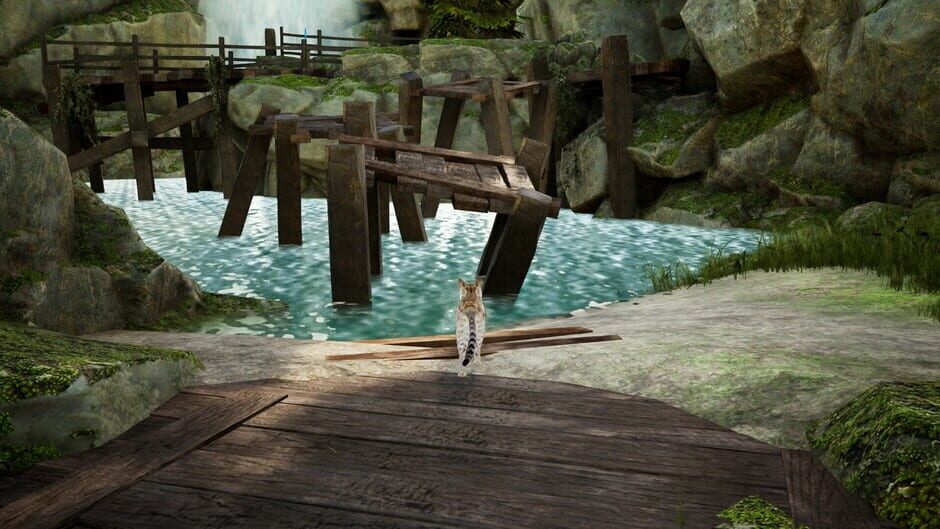 Curiosity screenshot 4