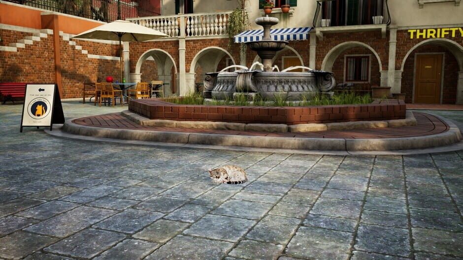 Curiosity screenshot 7