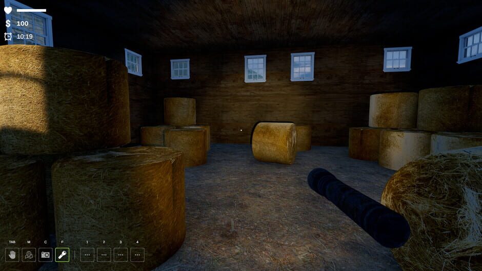 I Want to Believe screenshot 6