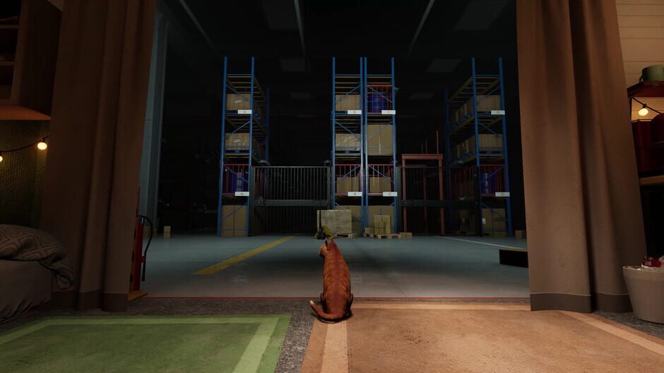 ORDER 13 screenshot 1