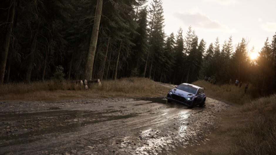 Assetto Corsa Rally screenshot 4