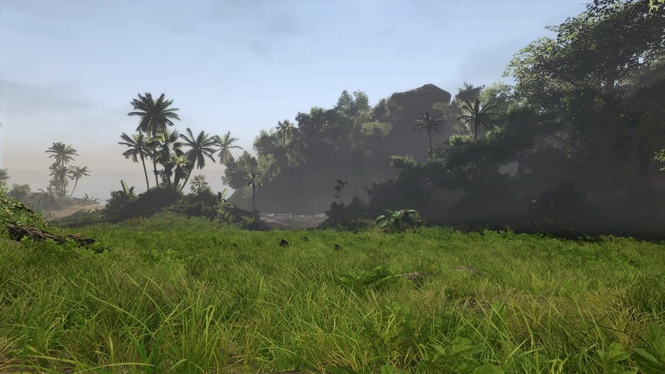 Risen 2: Dark Waters screenshot 1