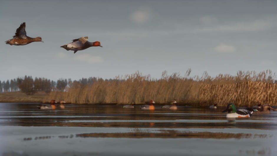 BULT: Hunting Simulator screenshot 1