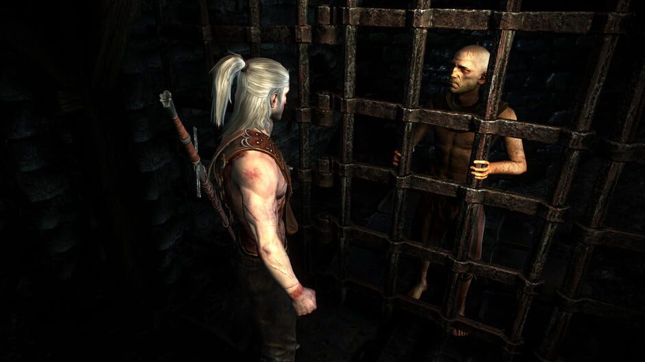 The Witcher 2: Assassins of Kings screenshot 1