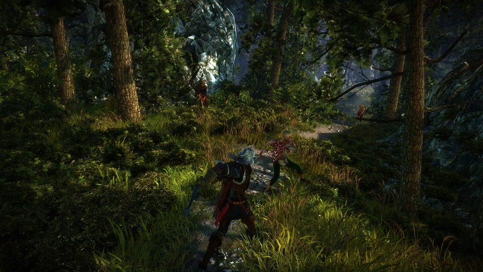 The Witcher 2: Assassins of Kings screenshot 5