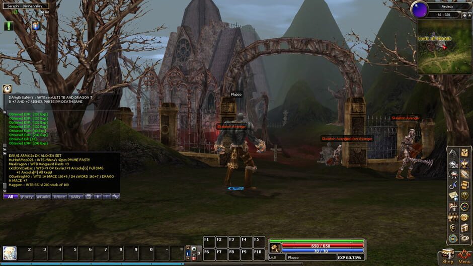 Dekaron screenshot 11